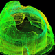 Illustration for article titled Incredible 3D Scans of Castles, Churches, and Even Mt. Rushmore